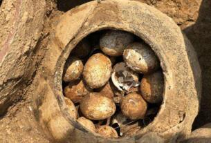 古墓中发现一罐2500年前的鸡蛋，保存完好(和正常鸡蛋没区别)