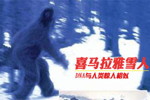 喜马拉雅雪人之谜,身形高大/通身雪白/生性好色(疑似高等灵长动物)