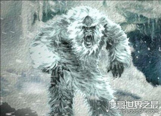 喜马拉雅雪人之谜 身形高大/通身雪白/生性好色(疑似高等灵长动物)
