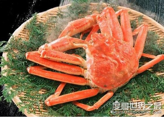 【世界上最贵的螃蟹 日本螃蟹拍出500万天价(打破吉尼斯)_商业之最_世界之最 - 1316世界之最】图3