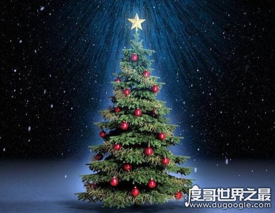 全球最贵圣诞树 价值1亿多元(上面镶嵌有钻石和蓝宝石做装饰)