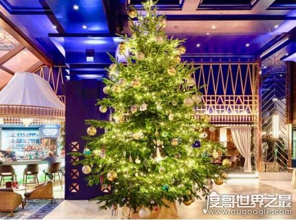 全球最贵圣诞树 价值1亿多元(上面镶嵌有钻石和蓝宝石做装饰)_商业之最_世界之最 - 1316世界之最