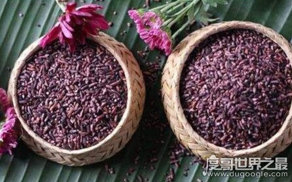 世界上最顶级的大米 色泽红润香甜绵长（胭脂米）