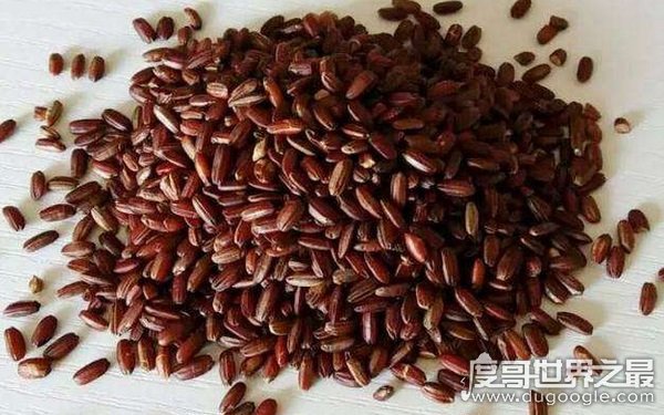 世界上最顶级的大米 色泽红润香甜绵长（胭脂米）