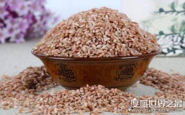 世界上最顶级的大米 色泽红润香甜绵长（胭脂米）