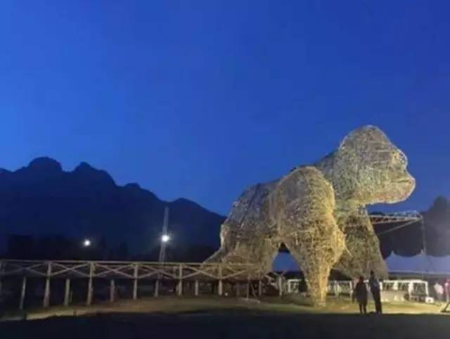 世界上最贵的门票 卢旺达火山公园单人门票价格高达一万元