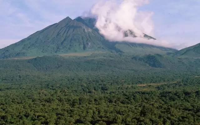 世界上最贵的门票 卢旺达火山公园单人门票价格高达一万元